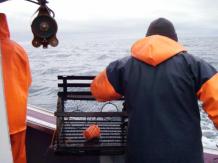 Hauling a trap during sea sampling